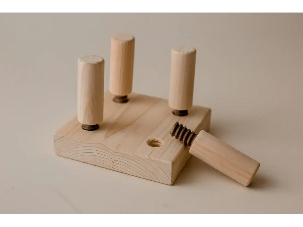 Wooden toy with pegs and screw.