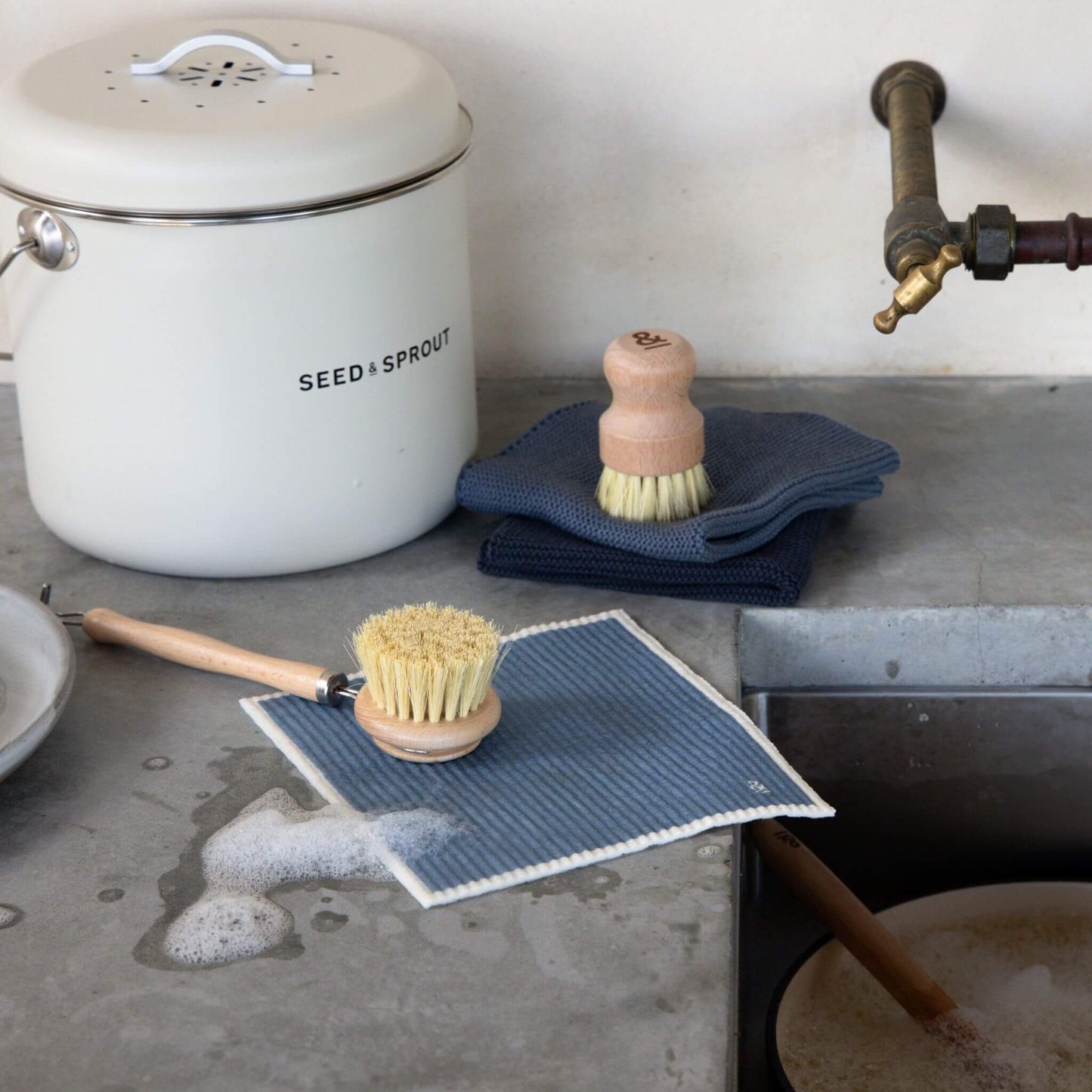 Seed and Sprout Dish Brush Beechwood