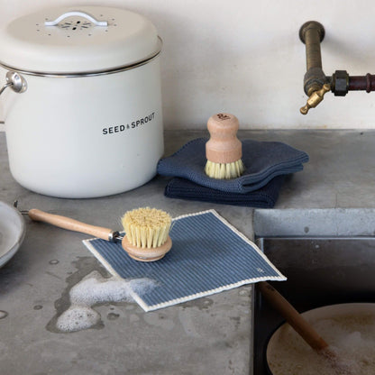 Seed and Sprout Dish Brush Beechwood