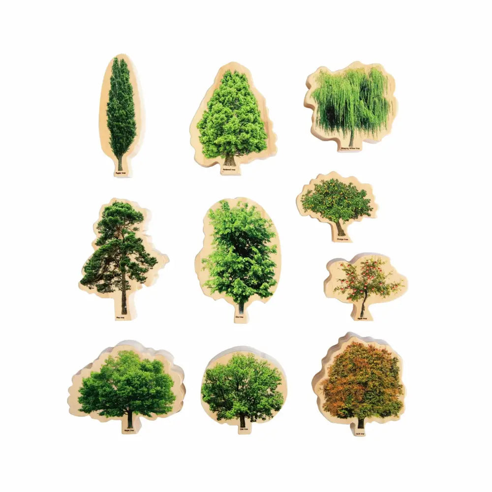 Collection of various tree illustrations with different shapes and foliage types.