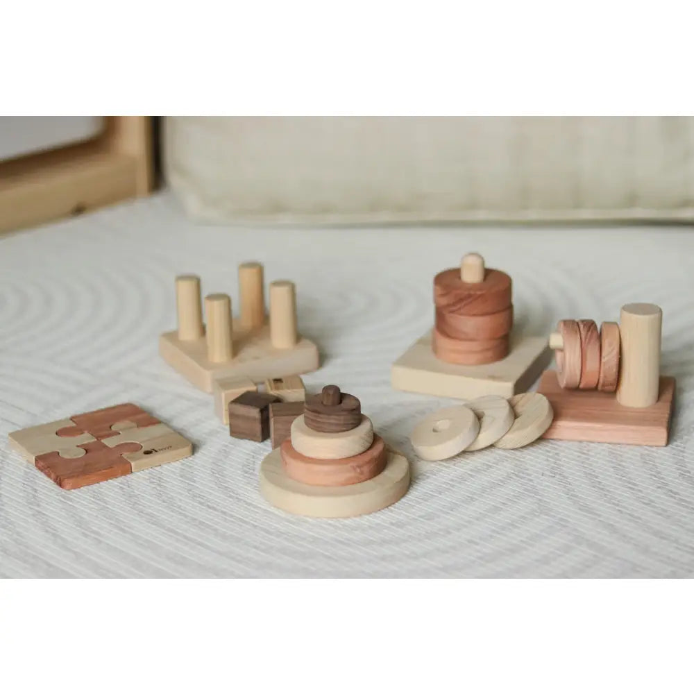 Collection of wooden Montessori-style toys and educational materials.