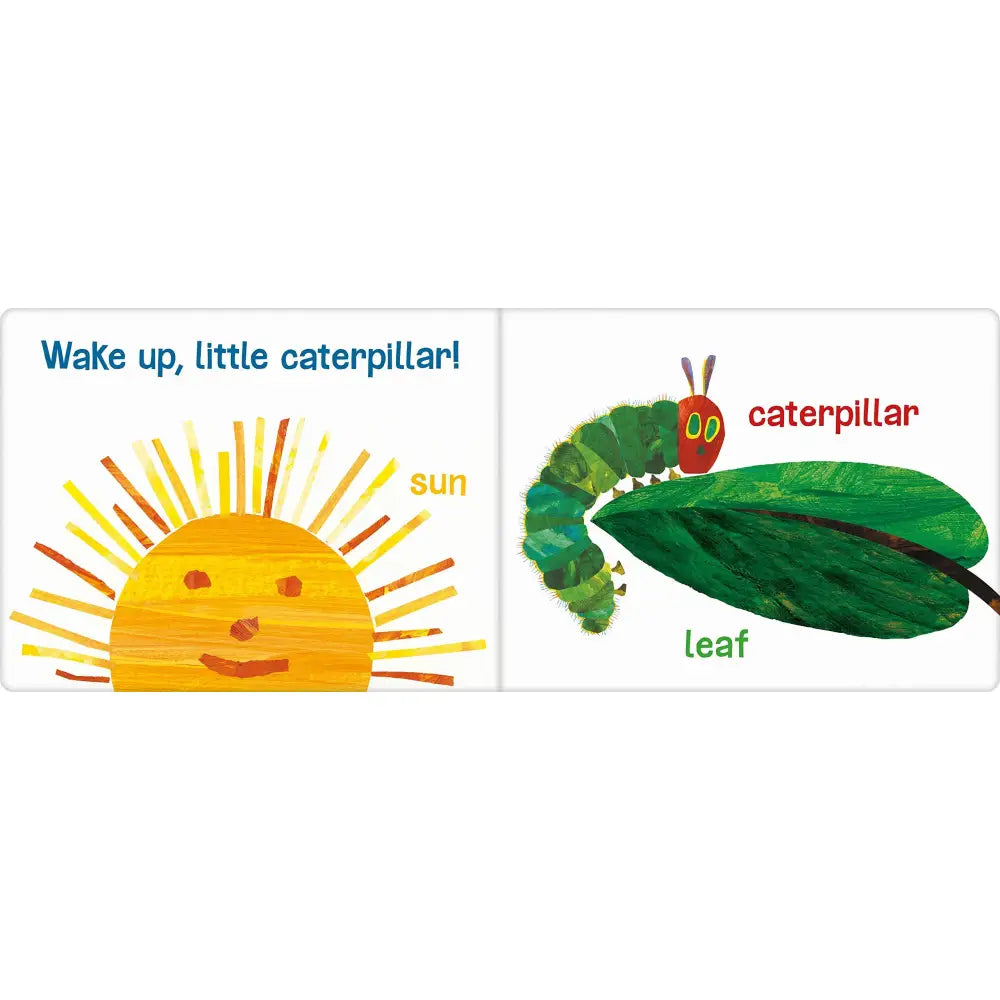 Colorful illustration of a smiling sun and a green caterpillar on a leaf.