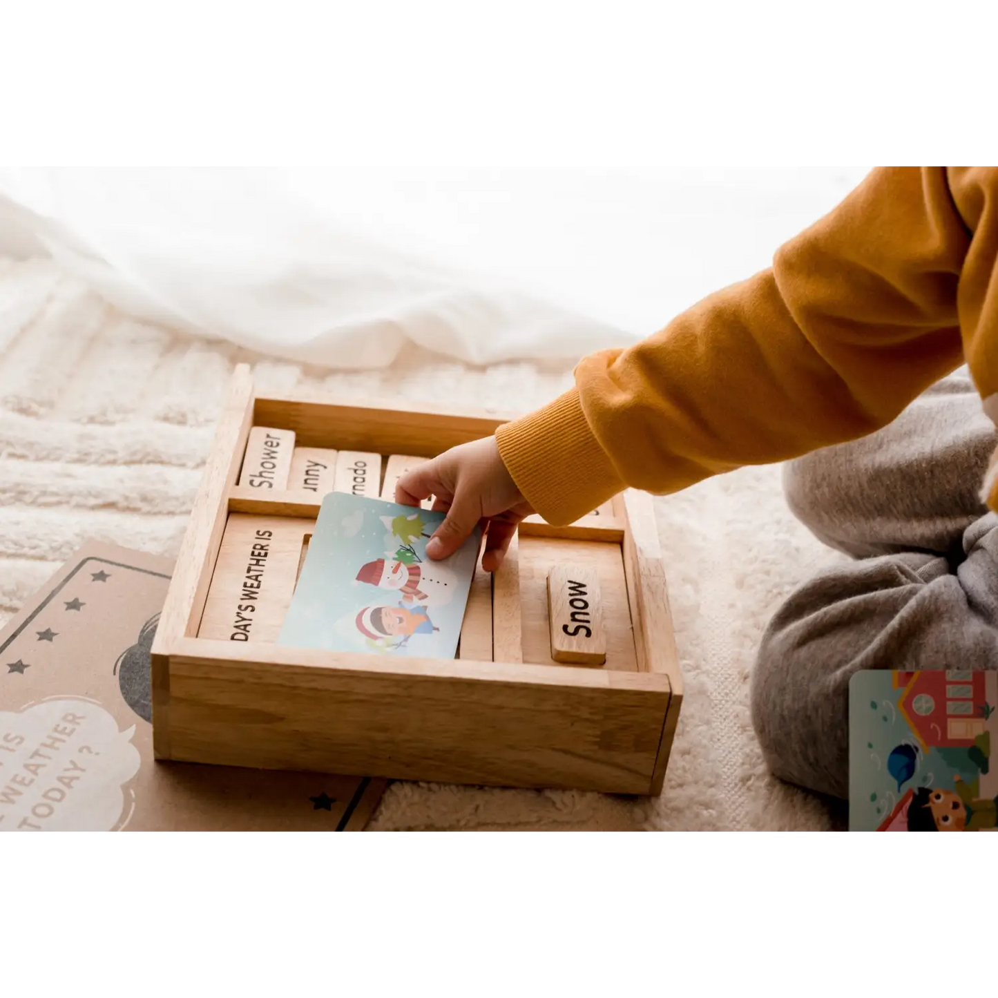 Wooden puzzle or sorting box with labeled compartments and colorful pieces.