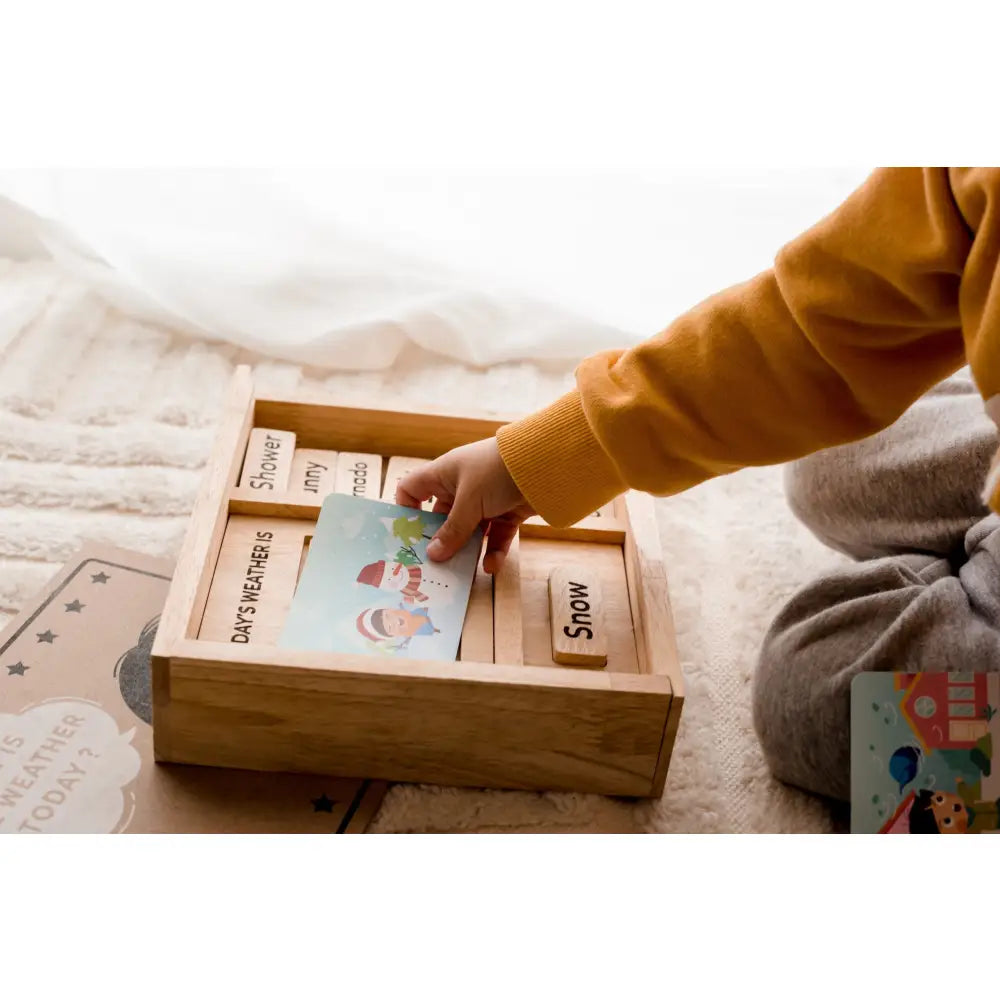 Wooden puzzle or sorting box with labeled compartments and colorful pieces.