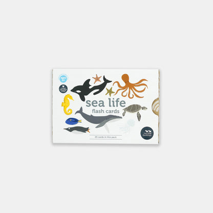 Interactive Oceanic Life Learning Flash Cards