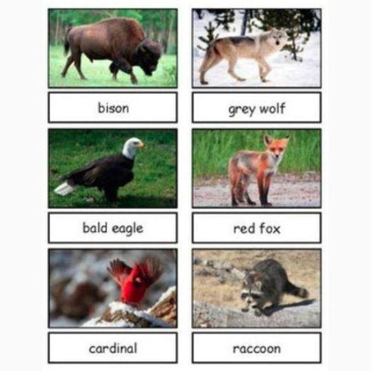 Safari LTD Nature Toob + Printable Language Cards