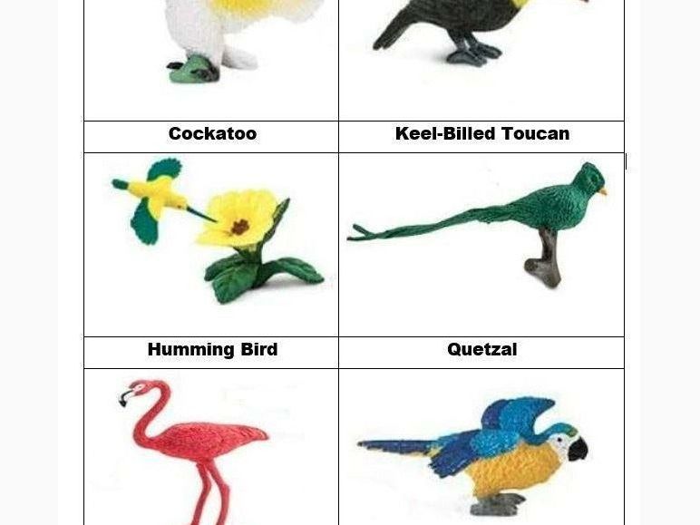 Safari Ltd Exotic Birds Toob