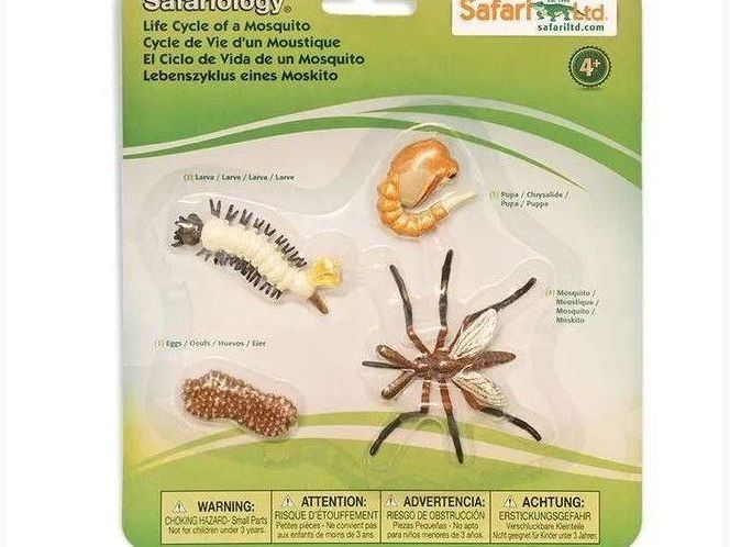 SAFARI LTD LIFE CYCLE OF A MOSQUITO SAFARIOLOGY - Learn Grow Play