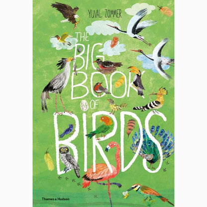 Big Book of Birds, The