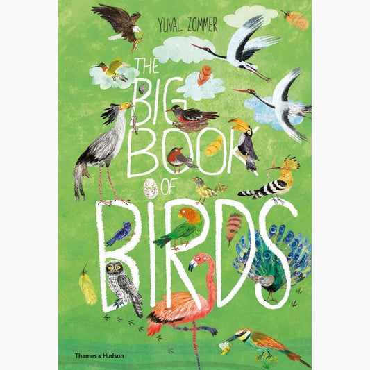 Big Book of Birds, The