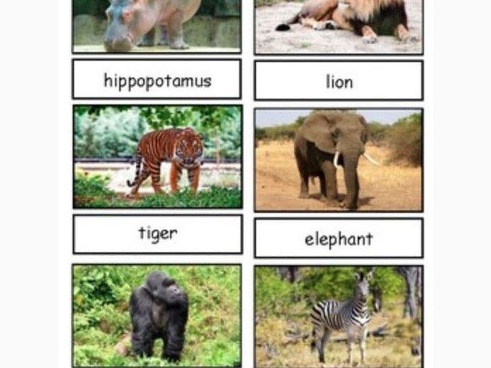 Safari Ltd Wild Toob