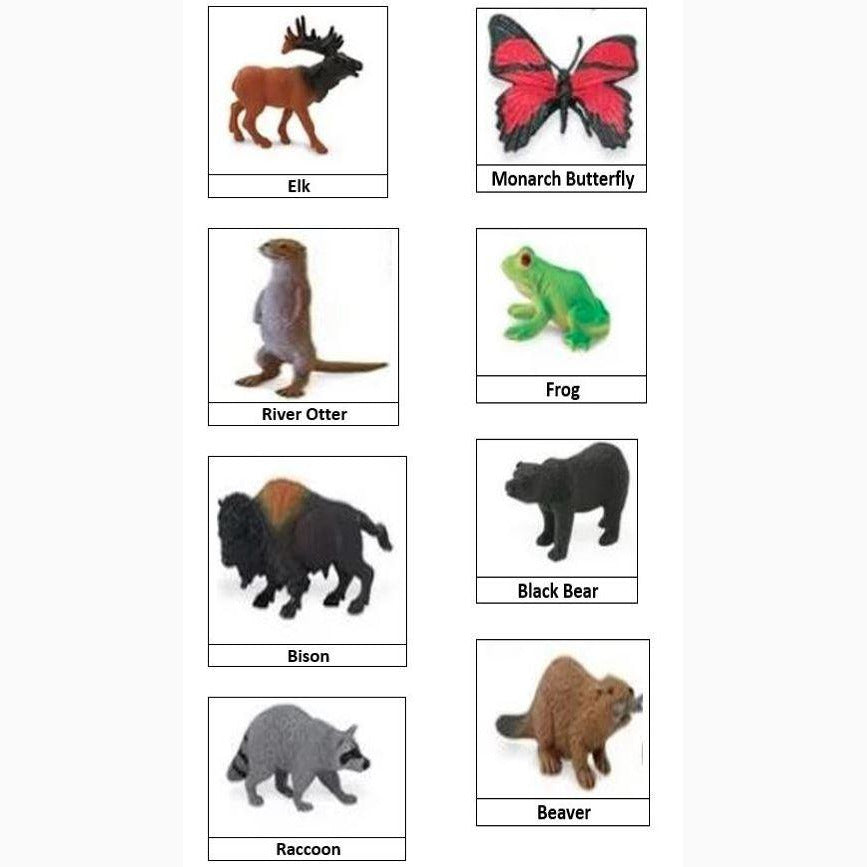 Woodland Creatures Exploration Toob with Educational Language Cards Bundle