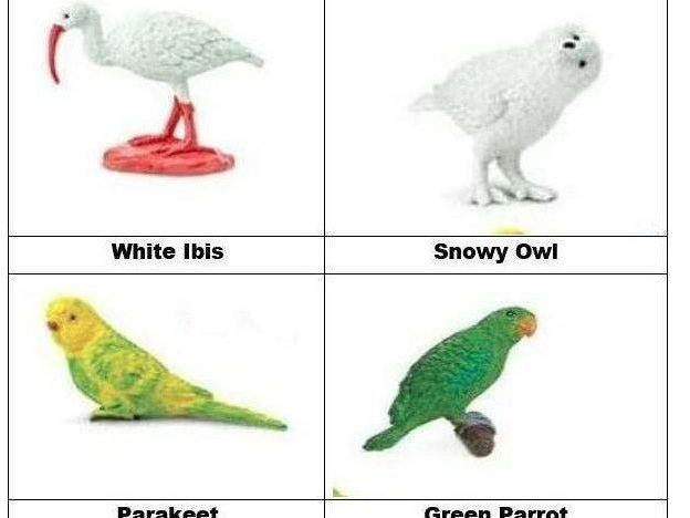 Safari Ltd Exotic Birds Toob
