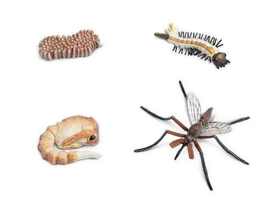 SAFARI LTD LIFE CYCLE OF A MOSQUITO SAFARIOLOGY - Learn Grow Play