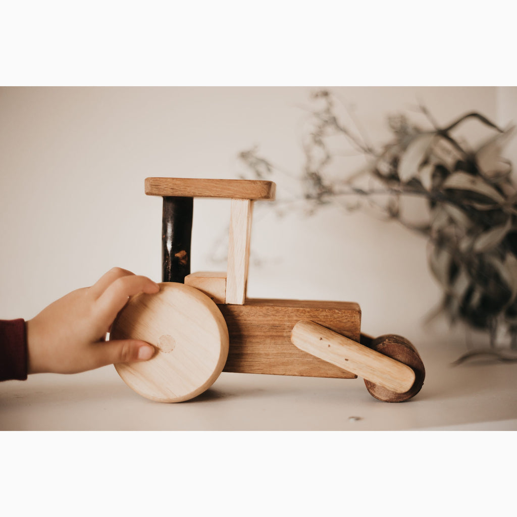 Natural Timber Steam Roller - Learn Grow Play