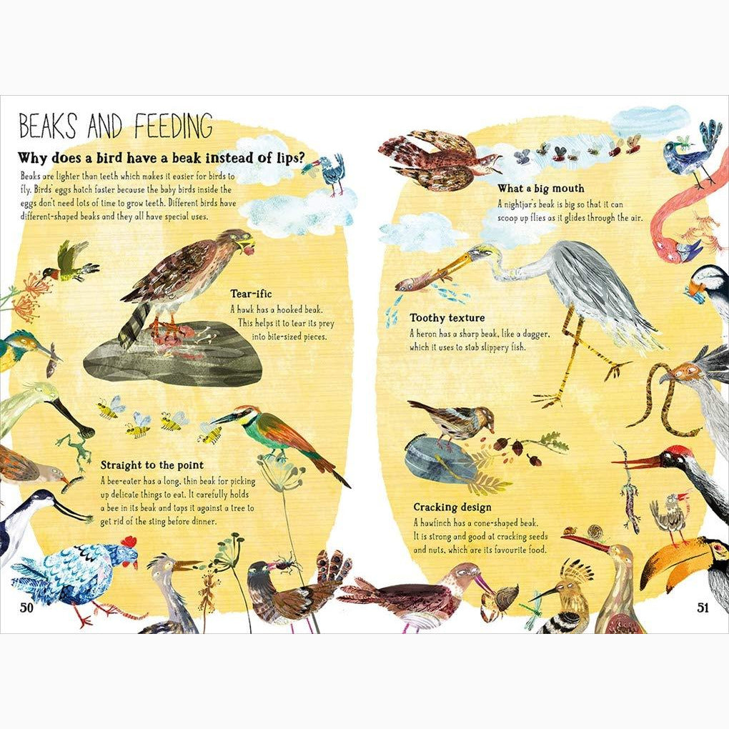Big Book of Birds, The