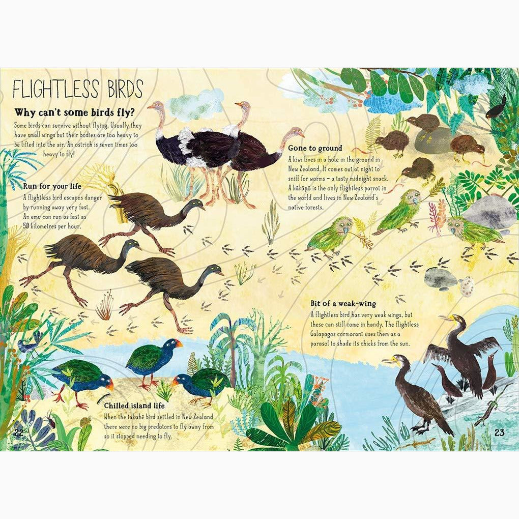 Big Book of Birds, The
