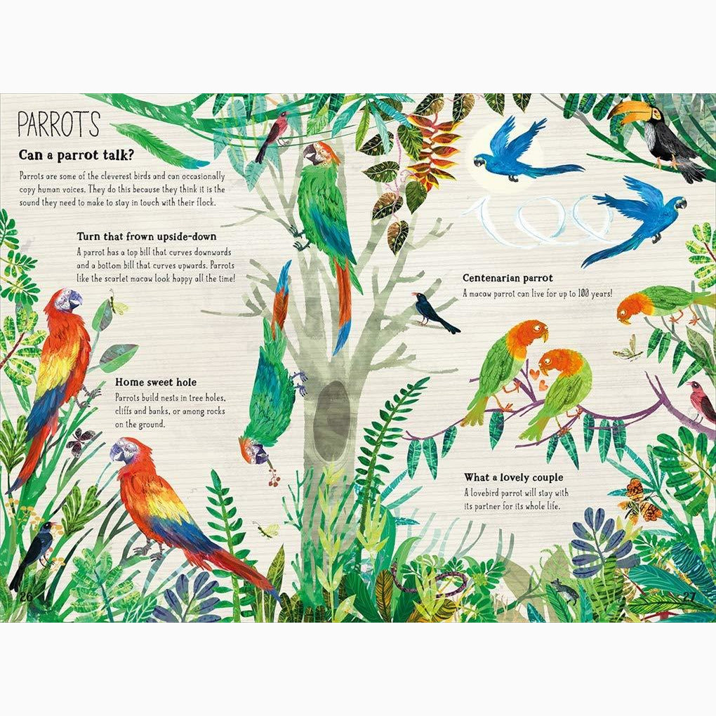 Big Book of Birds, The