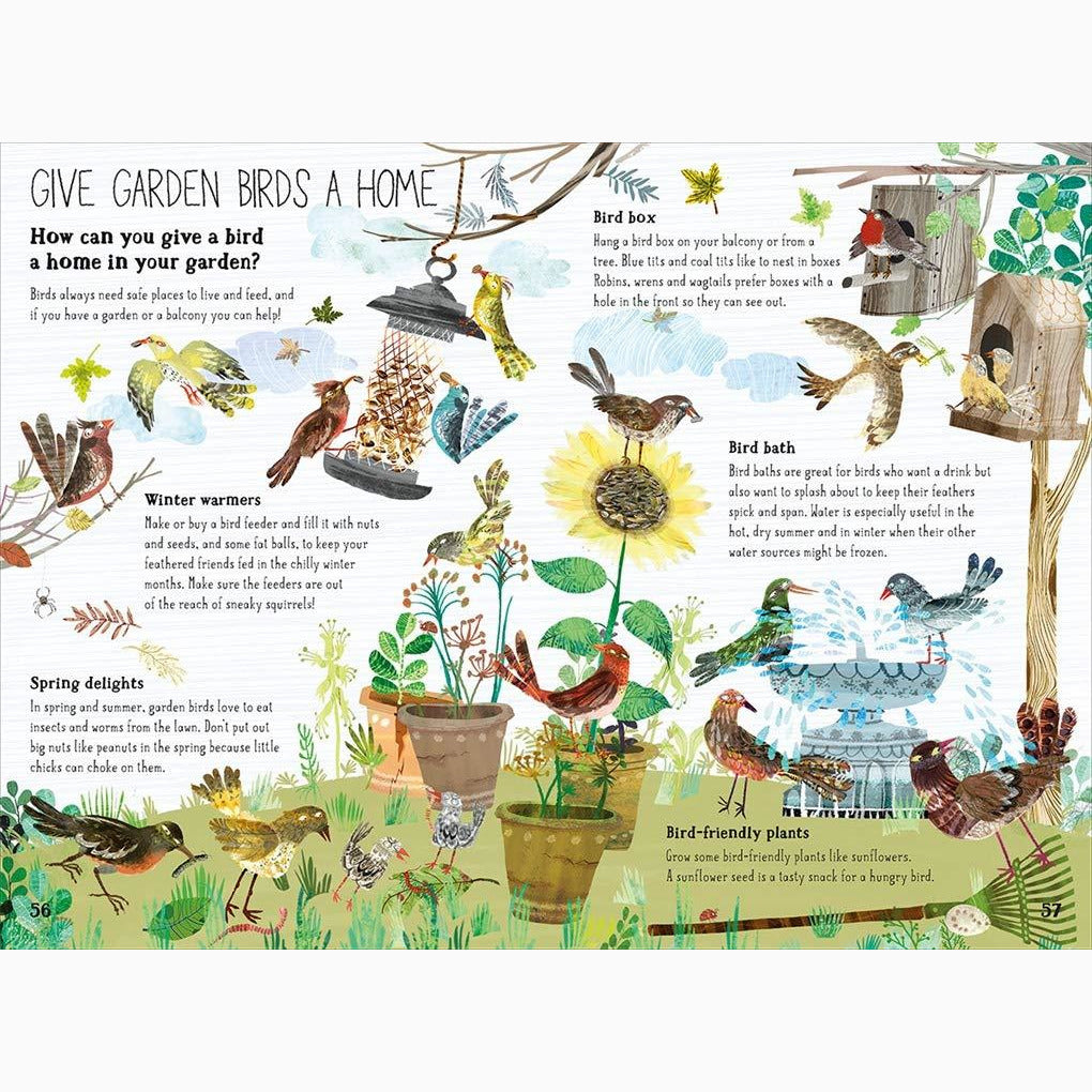Big Book of Birds, The