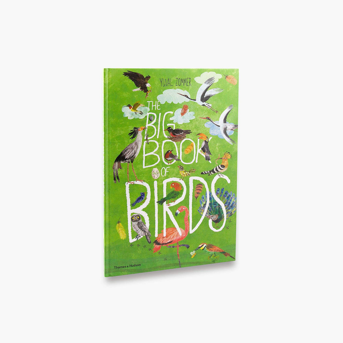 Big Book of Birds, The