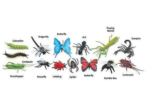 Safari Ltd Insects Toob