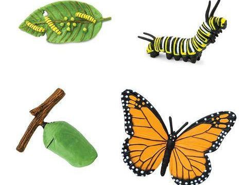 Safari Ltd Life Cycle of a Monarch Butterfly