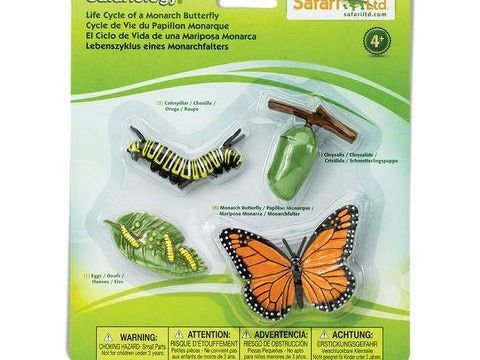 Safari Ltd Life Cycle of a Monarch Butterfly