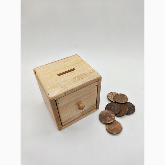 Montessori Cognitive Development Box with Coconut Discs